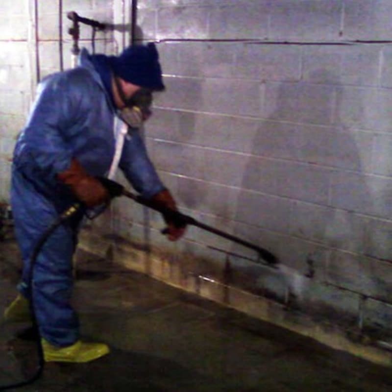 How to Find Reliable Mold Remediation in New York and Beyond